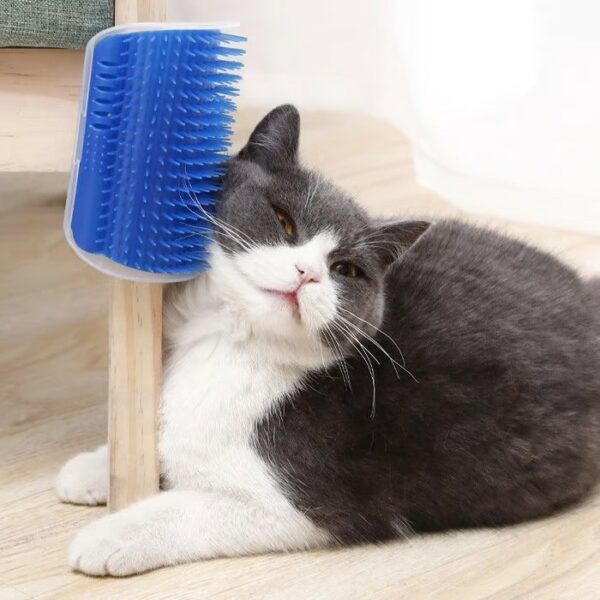 Corner Massage Cat Brush - Image 4
